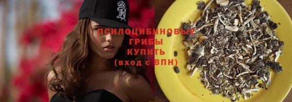 дурь Балахна