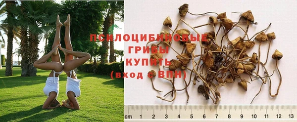 Альфа ПВП Баксан