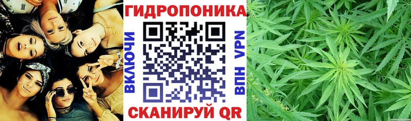 Конопля SATIVA & INDICA  Бутурлиновка 